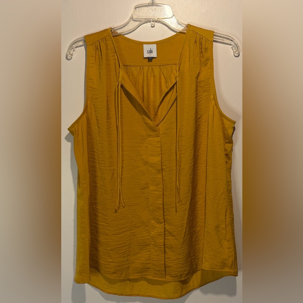 Cabi- BUNDLE! 2 Sleeveless Hi-Low Blouse Tops Floral Stripe + Gold Tie- Size M - Picture 6 of 9